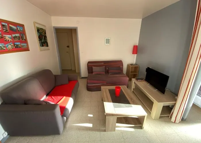En Bord De Pour 4 Personnes Avec Loggia A Argeles-sur-mer - Fr-1-837-55 Apartment