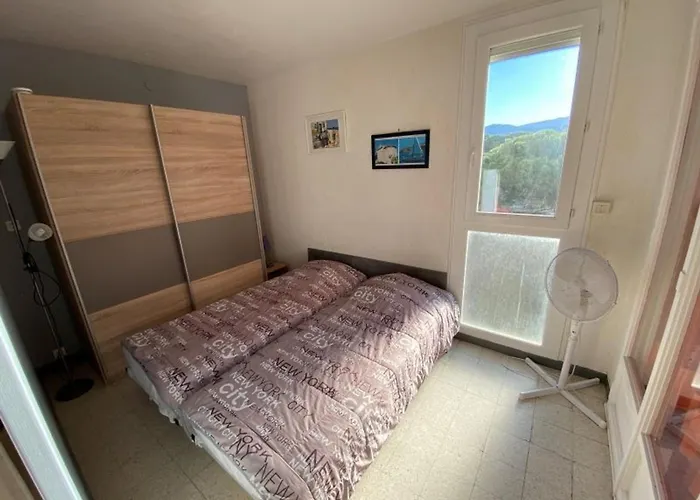 En Bord De Pour 4 Personnes Avec Loggia A Argeles-sur-mer - Fr-1-837-55 Apartment